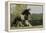 Gypsy Vanner Horse Running, Crestwood, Kentucky-Adam Jones-Framed Premier Image Canvas