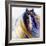 Gypsy Vanner Rouge-Marcia Baldwin-Framed Giclee Print