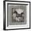 GypsyHorse Collection V1 12-LightBoxJournal-Framed Giclee Print