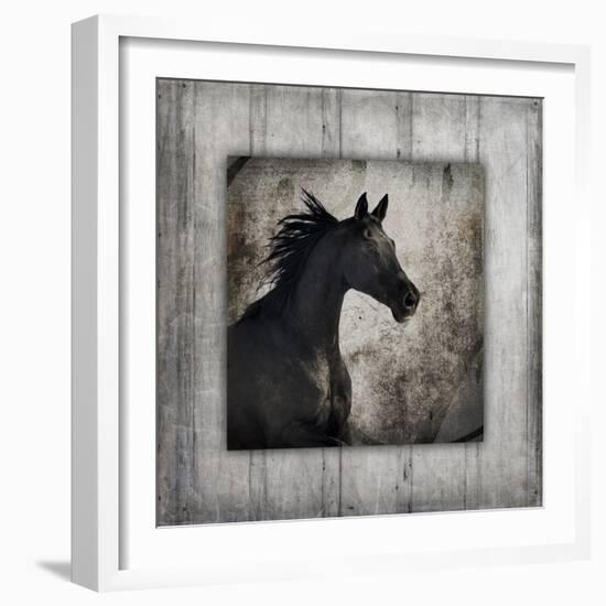 GypsyHorse Collection V1 5-LightBoxJournal-Framed Giclee Print