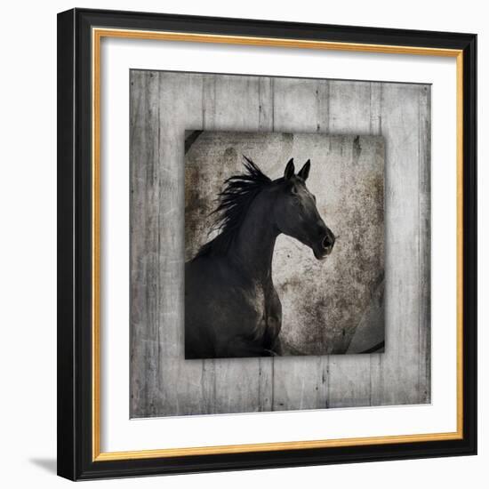 GypsyHorse Collection V1 5-LightBoxJournal-Framed Giclee Print