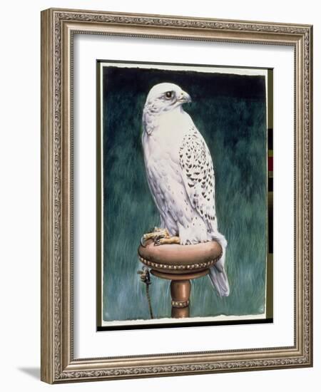 Gyr Falcon, 1986-Sandra Lawrence-Framed Giclee Print