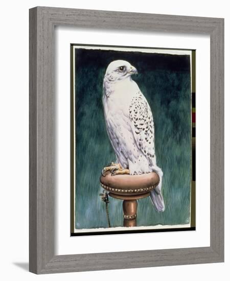 Gyr Falcon, 1986-Sandra Lawrence-Framed Giclee Print