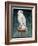 Gyr Falcon, 1986-Sandra Lawrence-Framed Giclee Print