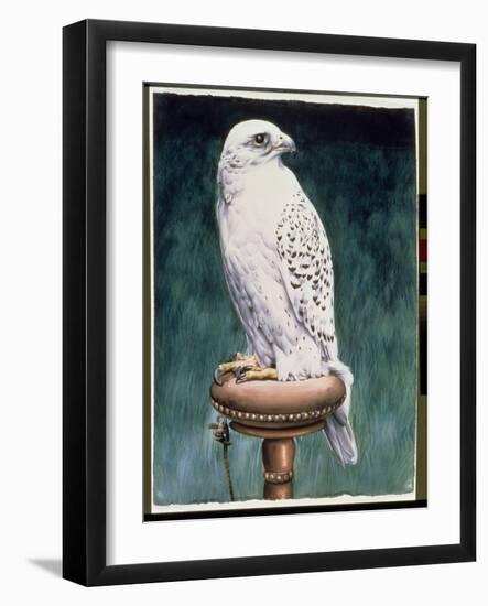 Gyr Falcon, 1986-Sandra Lawrence-Framed Giclee Print