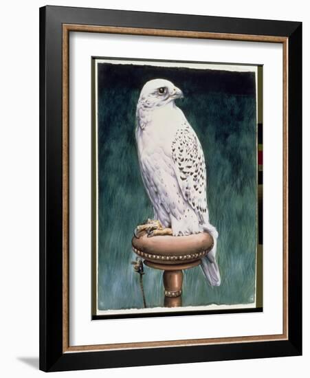 Gyr Falcon, 1986-Sandra Lawrence-Framed Giclee Print