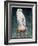 Gyr Falcon, 1986-Sandra Lawrence-Framed Giclee Print