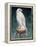 Gyr Falcon, 1986-Sandra Lawrence-Framed Premier Image Canvas