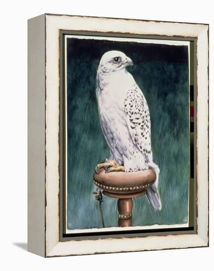 Gyr Falcon, 1986-Sandra Lawrence-Framed Premier Image Canvas