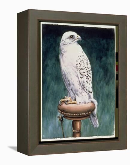 Gyr Falcon, 1986-Sandra Lawrence-Framed Premier Image Canvas