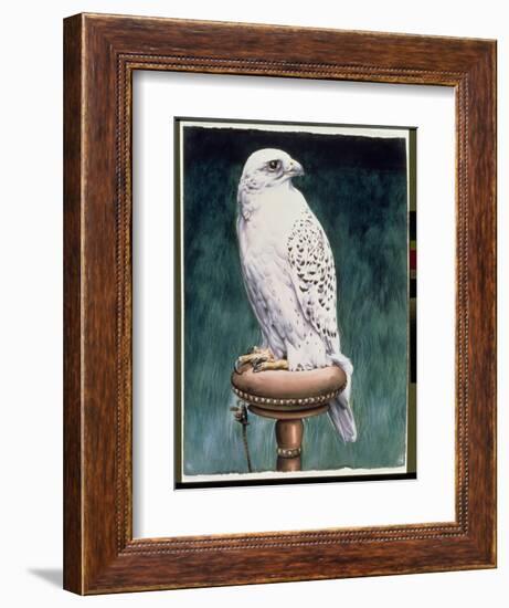 Gyr Falcon, 1986-Sandra Lawrence-Framed Giclee Print