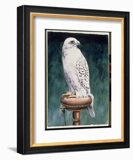 Gyr Falcon, 1986-Sandra Lawrence-Framed Giclee Print