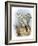 Gyr-Falcon-English-Framed Giclee Print