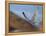 Gyrfalcon (Falco Rusticolus) in Flight, Disko Bay, Greenland, August 2009-Jensen-Framed Premier Image Canvas