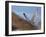 Gyrfalcon (Falco Rusticolus) in Flight, Disko Bay, Greenland, August 2009-Jensen-Framed Photographic Print