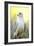 Gyrfalcon-Linda Wright-Framed Photographic Print