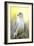 Gyrfalcon-Linda Wright-Framed Photographic Print