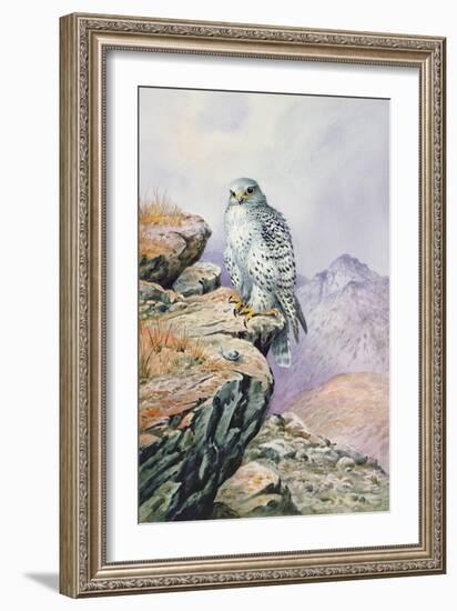 Gyrfalcon-Carl Donner-Framed Giclee Print