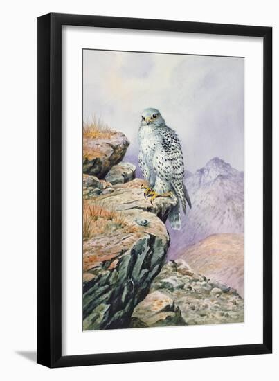 Gyrfalcon-Carl Donner-Framed Giclee Print