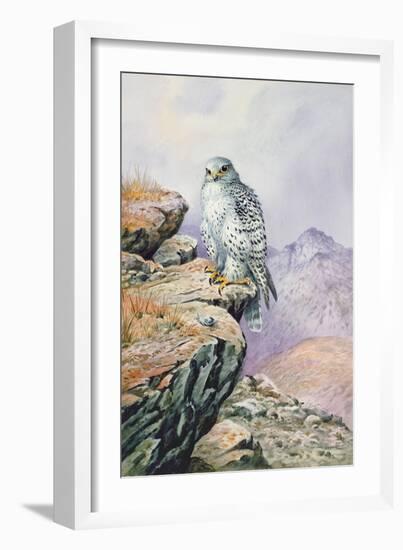 Gyrfalcon-Carl Donner-Framed Giclee Print