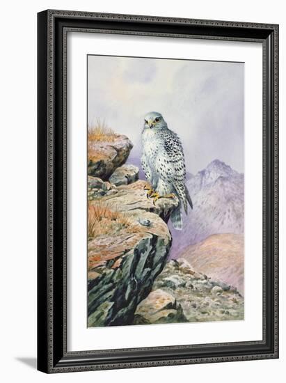 Gyrfalcon-Carl Donner-Framed Giclee Print