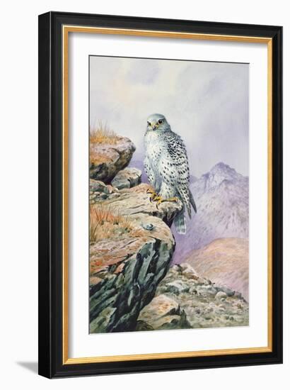 Gyrfalcon-Carl Donner-Framed Giclee Print