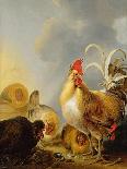Cockerel and Hens in a Landscape, 1649-Gysbert Hondecoeter-Framed Premier Image Canvas