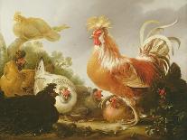 Cockerel and Hens in a Landscape, 1649-Gysbert Hondecoeter-Mounted Giclee Print