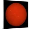 H-Alpha Full Sun in Red Color with Active Areas and Filaments-Stocktrek Images-Mounted Photographic Print