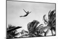 Photographic Print