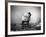 H.B. Leckler's Dog Mace Posing Atop a Chair Outdoors in Ft. Greene, Brooklyn, NY-Wallace G^ Levison-Framed Photographic Print