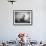 H.B. Leckler's Dog Mace Posing Atop a Chair Outdoors in Ft. Greene, Brooklyn, NY-Wallace G^ Levison-Framed Photographic Print displayed on a wall