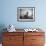 H.B. Leckler's Dog Mace Posing Atop a Chair Outdoors in Ft. Greene, Brooklyn, NY-Wallace G^ Levison-Framed Photographic Print displayed on a wall