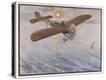 Stretched Canvas Print