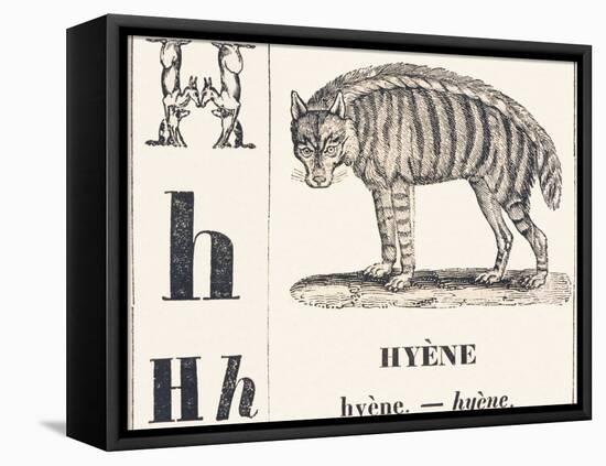 H for Hyene, 1850 (Engraving)-Louis Simon (1810-1870) Lassalle-Framed Premier Image Canvas