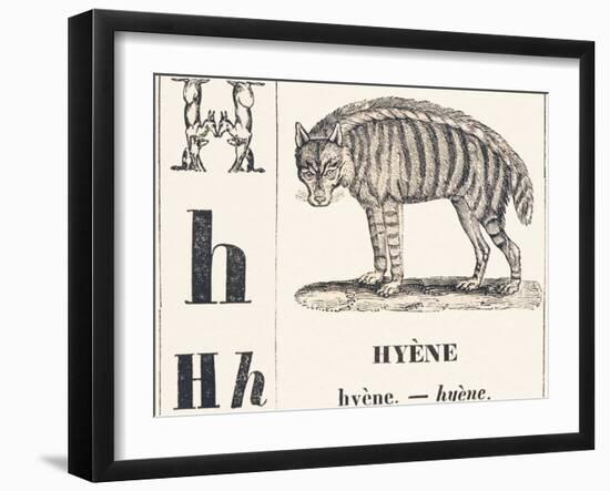 H for Hyene, 1850 (Engraving)-Louis Simon (1810-1870) Lassalle-Framed Giclee Print