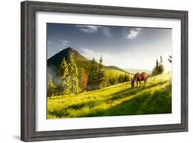H Horse in a Pasture in the Mountain Valley. Landscape Morning Panorama of the Mountains in Summer-Kotenko-Framed Photographic Print