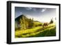 H Horse in a Pasture in the Mountain Valley. Landscape Morning Panorama of the Mountains in Summer-Kotenko-Framed Photographic Print