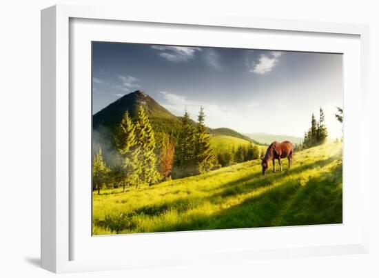 H Horse in a Pasture in the Mountain Valley. Landscape Morning Panorama of the Mountains in Summer-Kotenko-Framed Photographic Print