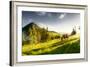 H Horse in a Pasture in the Mountain Valley. Landscape Morning Panorama of the Mountains in Summer-Kotenko-Framed Photographic Print
