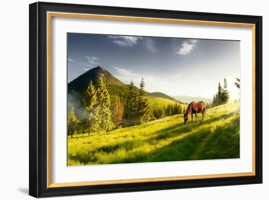 H Horse in a Pasture in the Mountain Valley. Landscape Morning Panorama of the Mountains in Summer-Kotenko-Framed Photographic Print