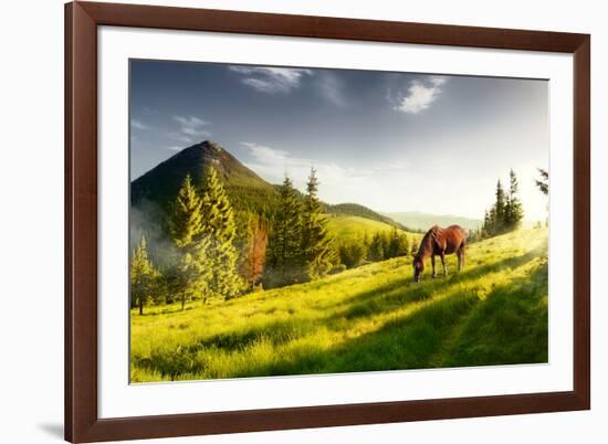 H Horse in a Pasture in the Mountain Valley. Landscape Morning Panorama of the Mountains in Summer-Kotenko-Framed Photographic Print