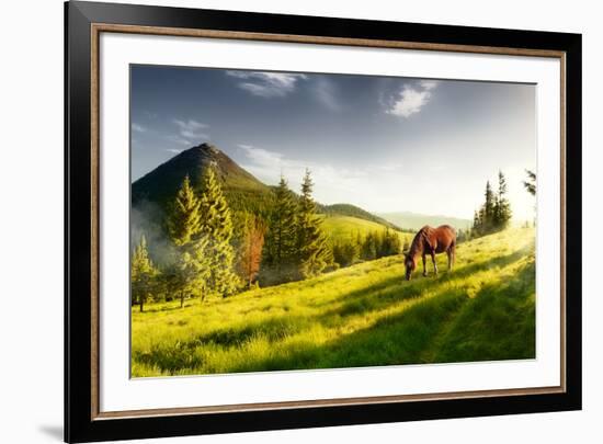 H Horse in a Pasture in the Mountain Valley. Landscape Morning Panorama of the Mountains in Summer-Kotenko-Framed Photographic Print