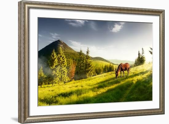 H Horse in a Pasture in the Mountain Valley. Landscape Morning Panorama of the Mountains in Summer-Kotenko-Framed Photographic Print