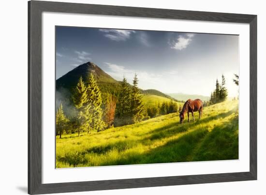 H Horse in a Pasture in the Mountain Valley. Landscape Morning Panorama of the Mountains in Summer-Kotenko-Framed Photographic Print