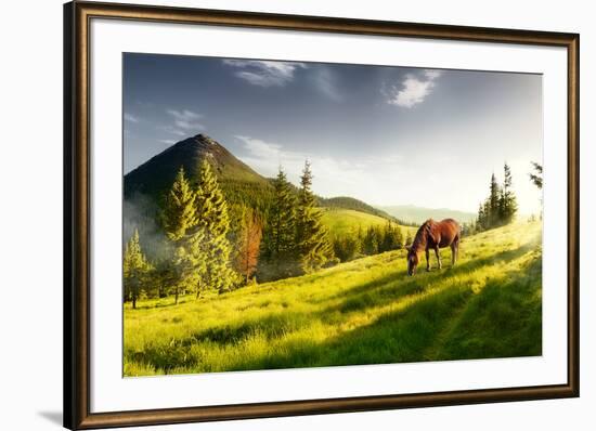 H Horse in a Pasture in the Mountain Valley. Landscape Morning Panorama of the Mountains in Summer-Kotenko-Framed Photographic Print