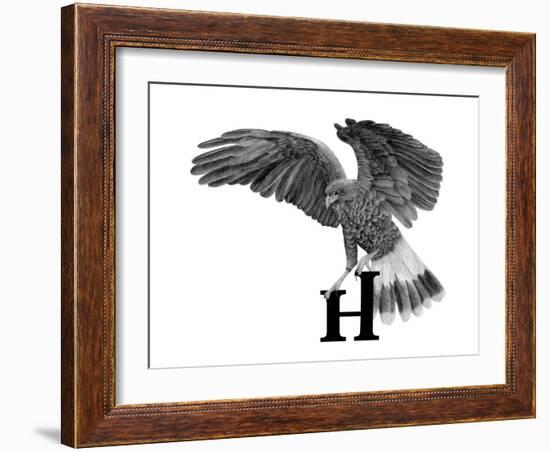 H is for Hawk-Stacy Hsu-Framed Art Print