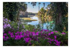 Rainbow Springs-H.J. Herrera-Framed Art Print