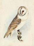 Meyer Barn Owl-H. l. Meyer-Art Print