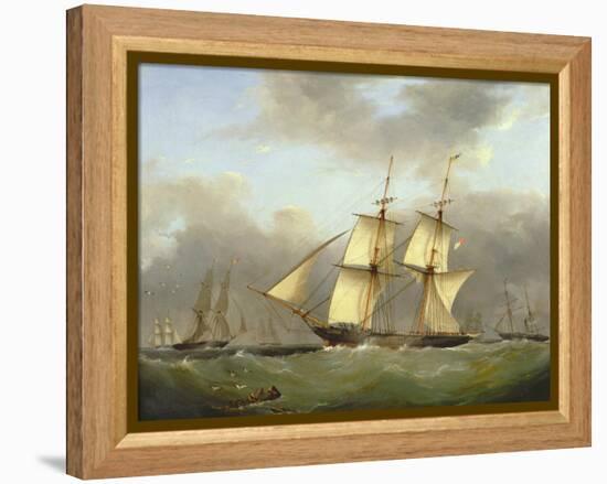 H.M. Brig Daring-Nicholas Condy-Framed Premier Image Canvas